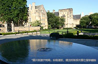 賓大商科有本科專業嗎？