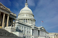 大動作！南洋理工大學推出跨學科學術項目