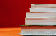 加拿大商學院本科畢業去向怎樣？