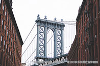 國家稅務系統2024年擬錄用公務員海外院校背景公布