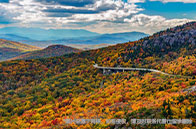 麻省理工學院金融碩士排名變化：2025年下滑1位