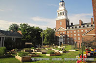 南洋理工大學(xué)會計專業(yè)含金量如何？