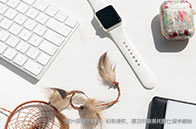 愛丁堡大學(xué)高性能計(jì)算與數(shù)據(jù)科學(xué)理學(xué)碩士怎么樣？