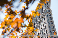 上新！伯克利全球訪校項目將于下月開啟春季申請