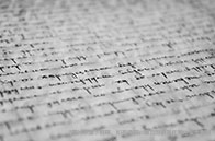 諾丁漢大學(xué)生物科學(xué)學(xué)院怎么樣？