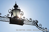 美國大學留學生招生政策解讀：開放與縮招