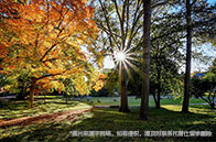 美國留學如何避免選到野雞大學？