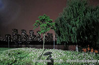 大陸高考生如何申請NUS大學？