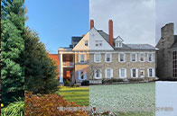 約克大學利用3D打印技術感受花粉世界