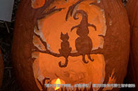 申請英國大學必須考alevel嗎？不一定！