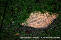 密歇根大學環境政策與規劃專業簡介