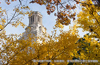 康涅狄格大學是全美最安全校園嗎？是