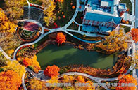 賓州州立大學(xué)23fall招生情況解讀