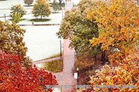 加拿大環(huán)境專業(yè)就業(yè)前景怎么樣？