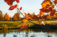 新！2025USnews加拿大學(xué)全球排名TOP200出爐！