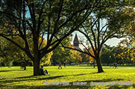 美國心理學學位類型分類介紹