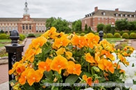 加州大學洛杉磯分校機械工程碩士申請難度