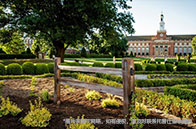 NUS商業(yè)分析碩士學(xué)費多少錢？