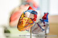 南洋理工大學(xué)MSCS碩士學(xué)費(fèi)多少錢？