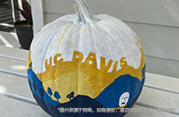 蒙特利爾大學(xué)本科申請條件有哪些？