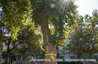 美國(guó)研究生套磁常見誤區(qū)，你猜中幾條