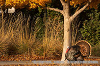 愛丁堡大學在全球工業(yè)、創(chuàng)新和基礎設施方面名列前茅