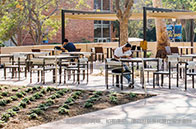 加拿大約克大學語言要求最新匯總