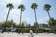 申請新加坡名校需要什么條件？