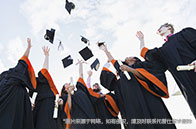 熱門專業|紐約大學MOT項目