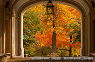 利好！2024年11月IB大考提前放榜！