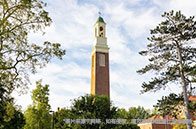 出國留學商科有前途嗎？