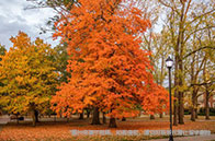 NTU商學(xué)院熱門碩士項(xiàng)目有哪些？