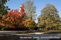 2024年2月-3月全國GMAT考位信息