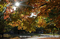 2024-25芝加哥大學文書題目公布，難度升級