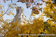 新加坡社科大學(xué)熱門研究生項(xiàng)目有哪些？