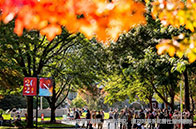 美國東北大學分析專業碩士費用解析