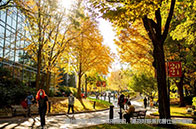 新加坡社科大學(xué)建筑環(huán)境碩士項(xiàng)目值得讀嗎？