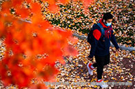 南洋理工大學對外漢語教學碩士錄取難度