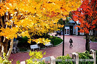 帝國理工學院通信碩士課程設置介紹