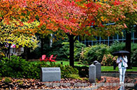 卡爾加里大學計算機專業排名靠前嗎？