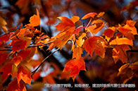 美國開設計算數(shù)學碩士的學校推薦