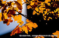 新加坡qs排名最高的大學(xué)：NUS全球第8