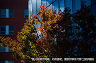 美國留學(xué)會(huì)計(jì)專業(yè)需多少錢？