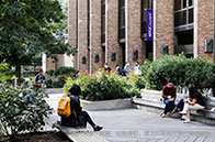 烏龍之后！2024USnews全球大學排名TOP10出爐！