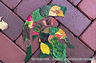 2025qs新加坡國立大學(xué)排名：蟬聯(lián)世界第8