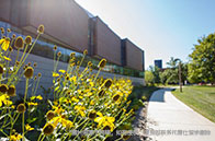 南洋理工大學學費繳付方式及費用明細