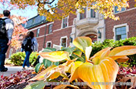 韋仕敦大學金融經濟碩士讀幾年？