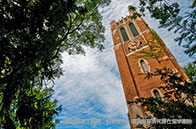 噩耗！西蒙菲莎大學(xué)停辦英語(yǔ)語(yǔ)言文化課程