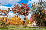 NTU聯合SMART開發出測量沼澤碳儲量新方法