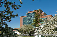 中國名人常申請的英國大學有哪些？